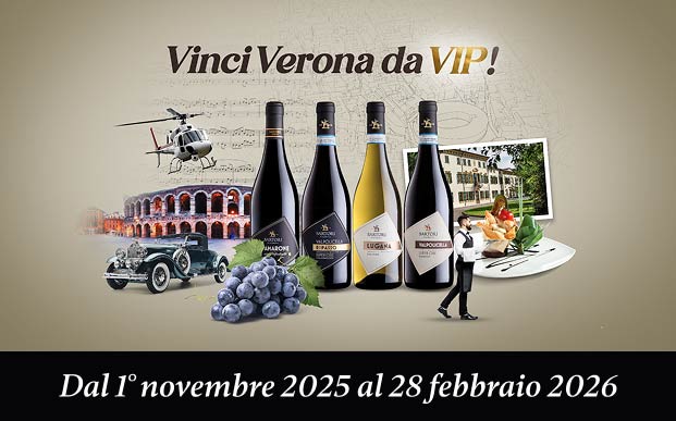 Vinci Verona da Vip